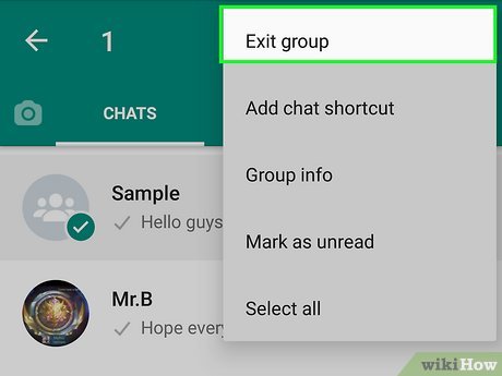 Descarga WhatsApp GB

